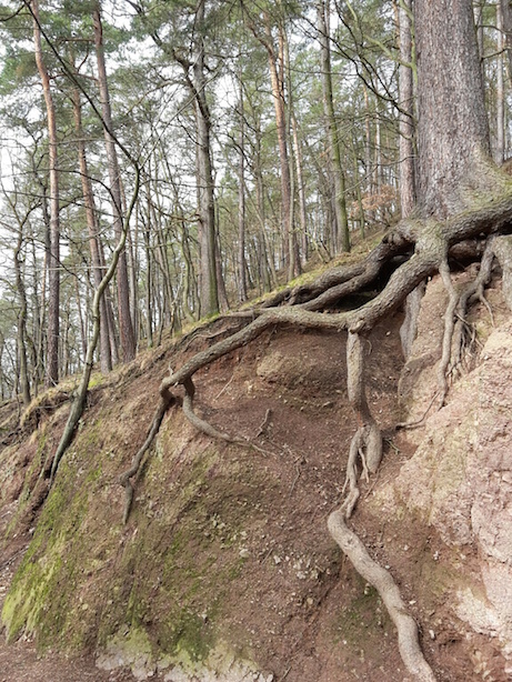 eisenach-31-johannistal-2