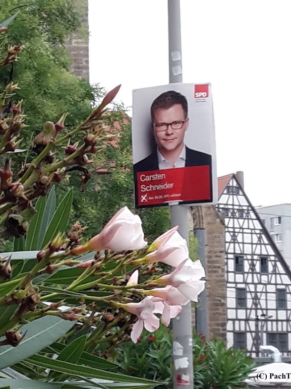 046 BilderBuchWahlKampfStart SPD in Erfurt