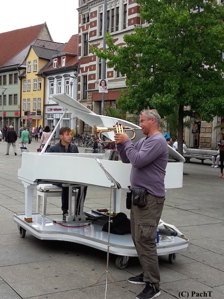 050 BilderBuchWahlKampfStart STÄNDCHEN