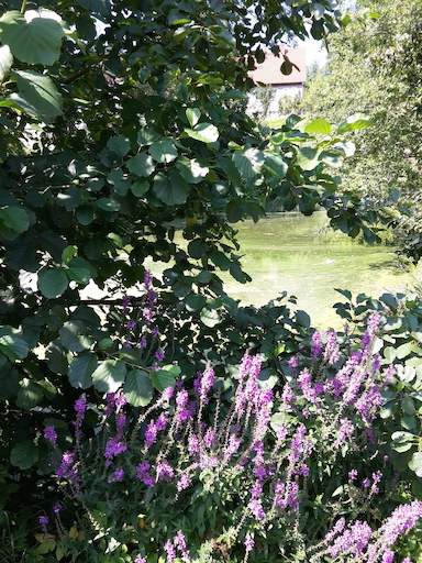 2017.08.29_Spaziergang 22 Trockenborn_Schloss Wolfersdorf