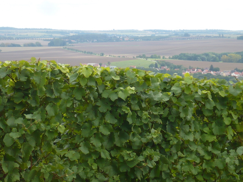 2017.09.05 Fünf-Schlösser-Blick-Spaziergang 11