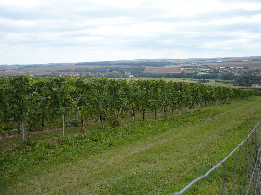 2017.09.05 Fünf-Schlösser-Blick-Spaziergang 12