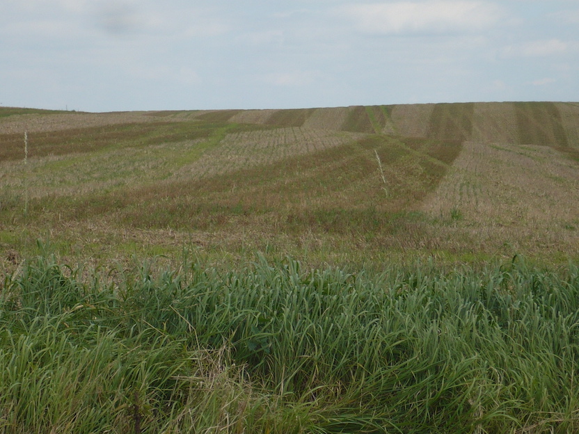 2017.09.05 Fünf-Schlösser-Blick-Spaziergang 15