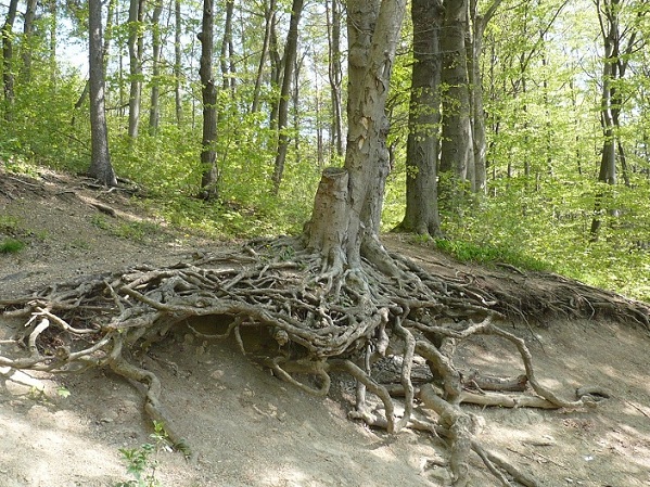 Bad Berka Osterausflug 03