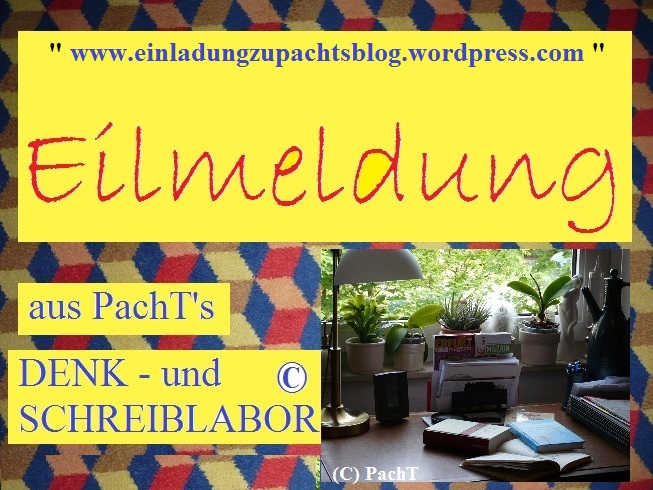 a_PachTs BLOG _ EILmeldung - WP