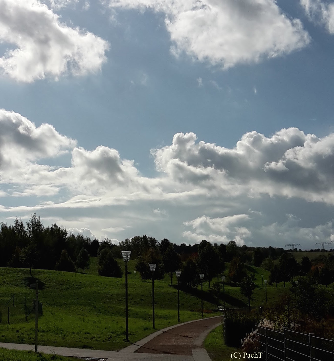 Buchenberg _Schöntal