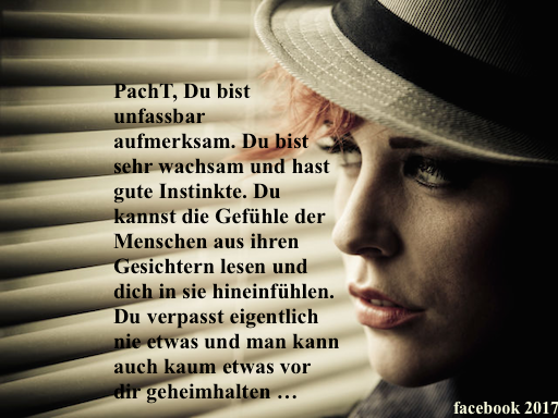 PachT Facebook über mich 2017.10.04 MenschenKenntnis.jpeg