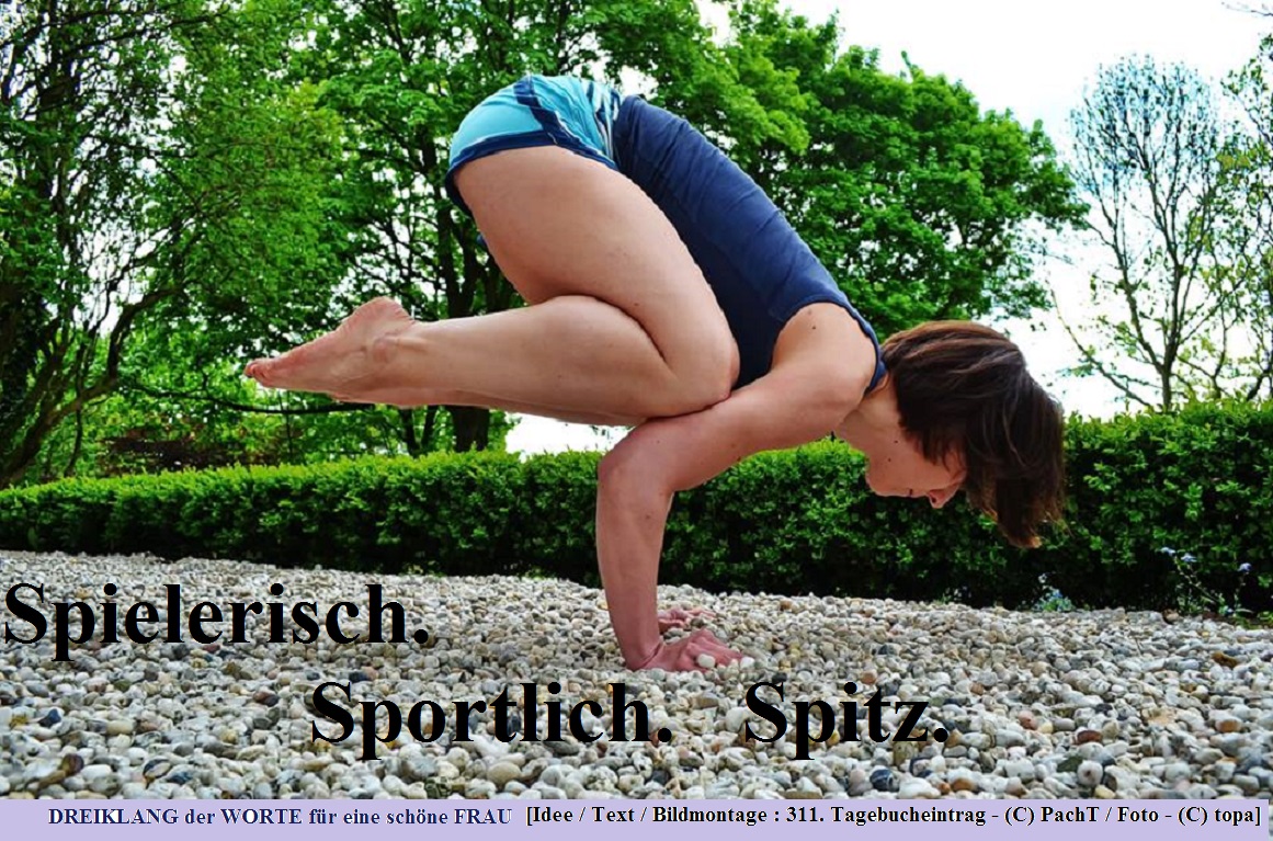 SSW311.Gedanke_DrK17Spitz