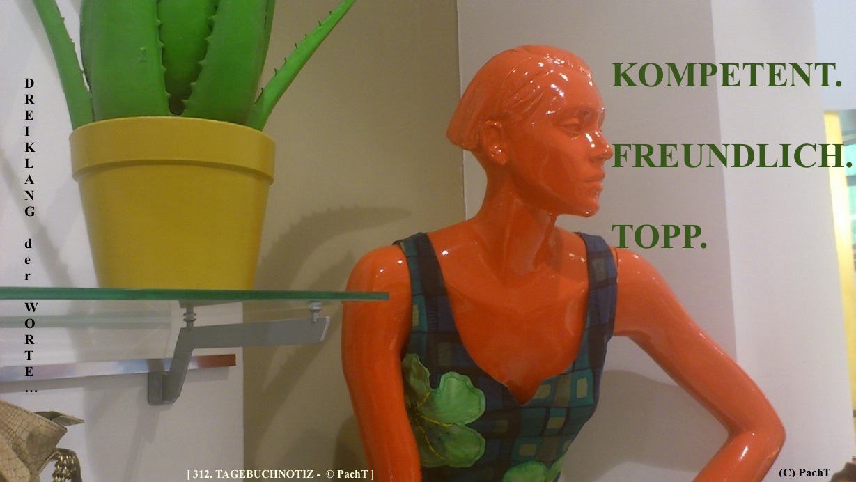 SSW312.Gedanke_DrK18Kompetent