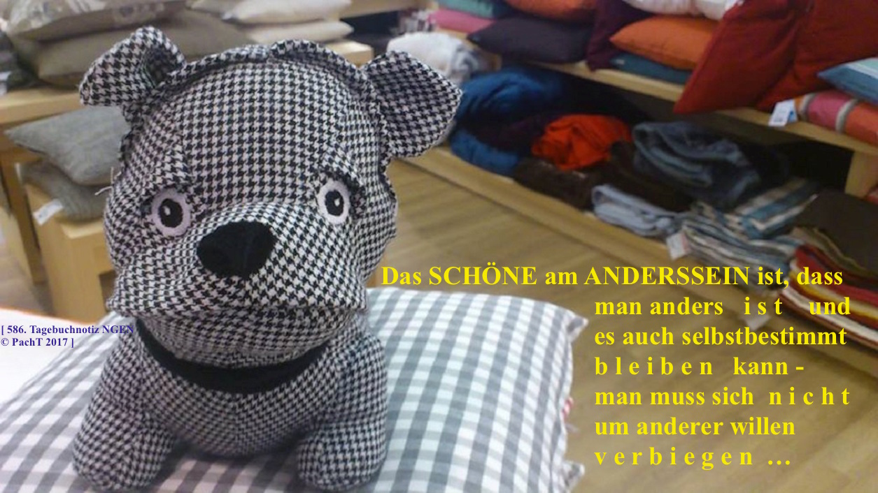 SSW586.Gedanke_ANDERSsein