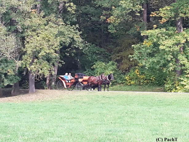 Weimar IlmPark Impression 13 Droschke