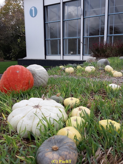 2017.10.31 02 egaPark KürbisFest