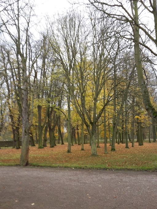 2017.11.07_02 Park und Schloss MOLSDORF Park