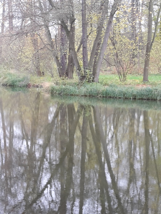 2017.11.07_03 Park und Schloss MOLSDORF Park