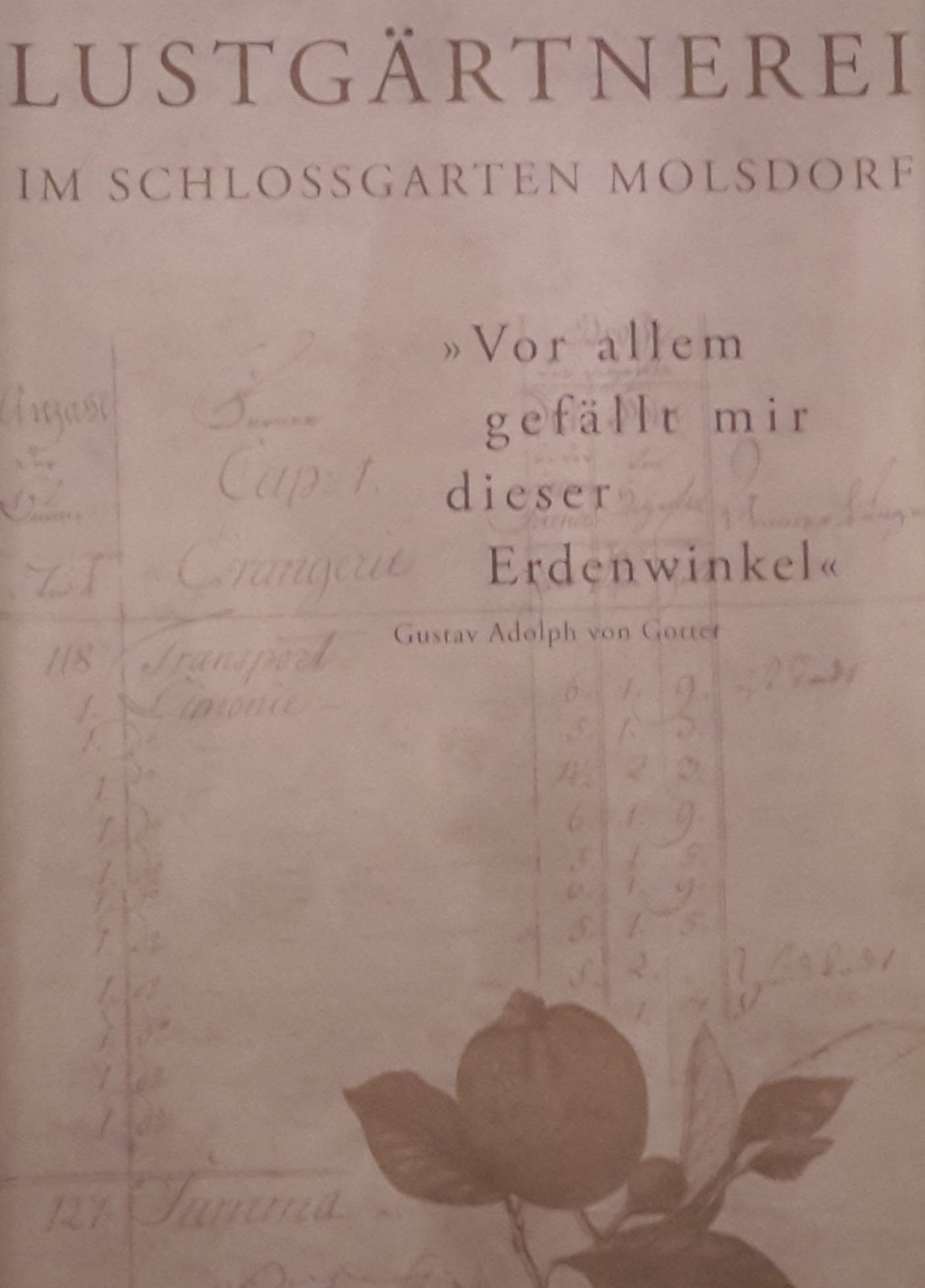 2017.11.07_18 Park und Schloss MOLSDORF