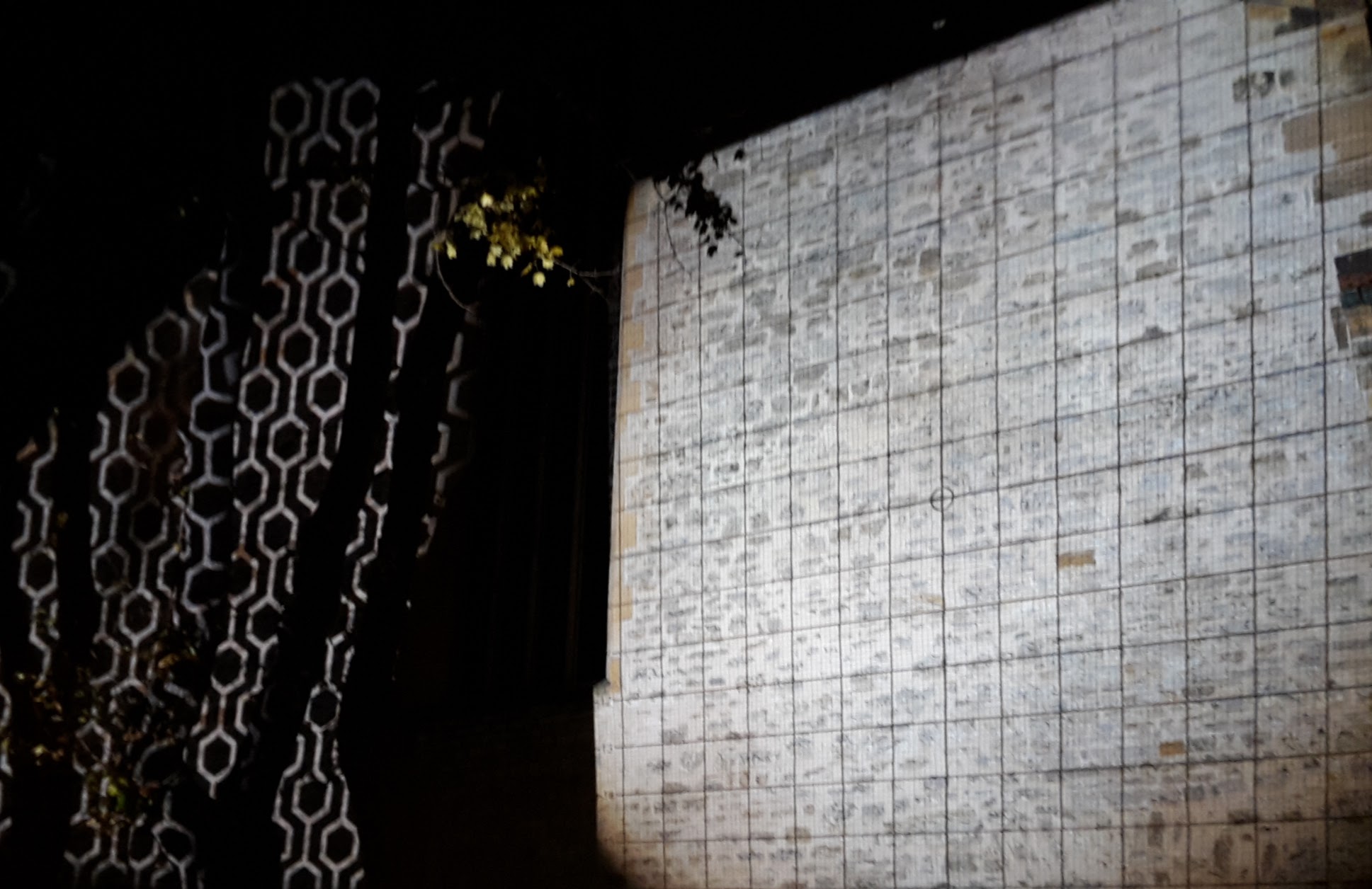 2017.11.09 004 Erfurter HerbstLESE M. Wolffsohn_AugustinerKloster