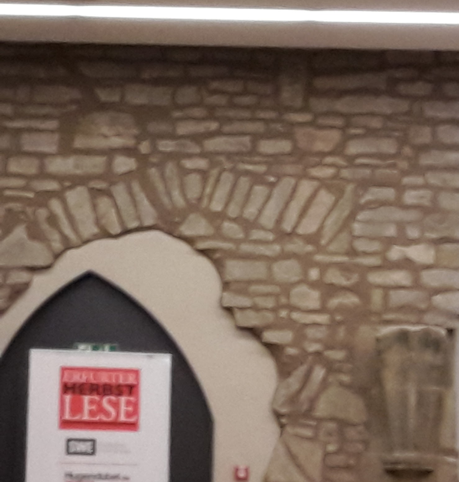 2017.11.09 005 Erfurter HerbstLESE M. Wolffsohn_Saal