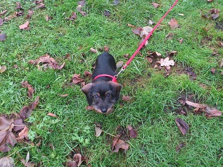 LUMPI 01 _ 10.08.2012