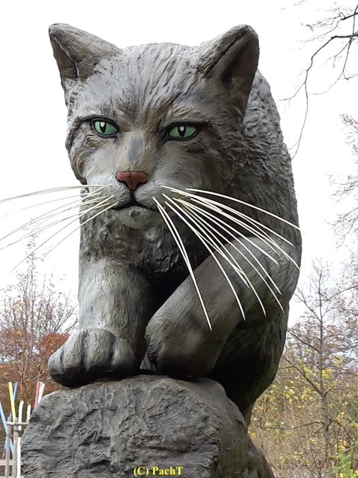 WildKatze