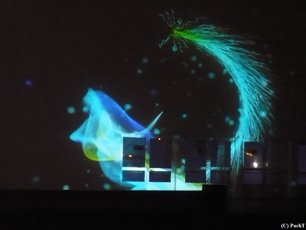 2016.01.01 WINTERLEUCHTEN 05 im egaPark EF