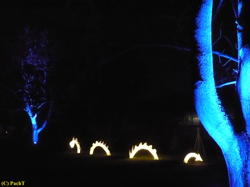 2017.12.25 ega WinterLeuchten 06