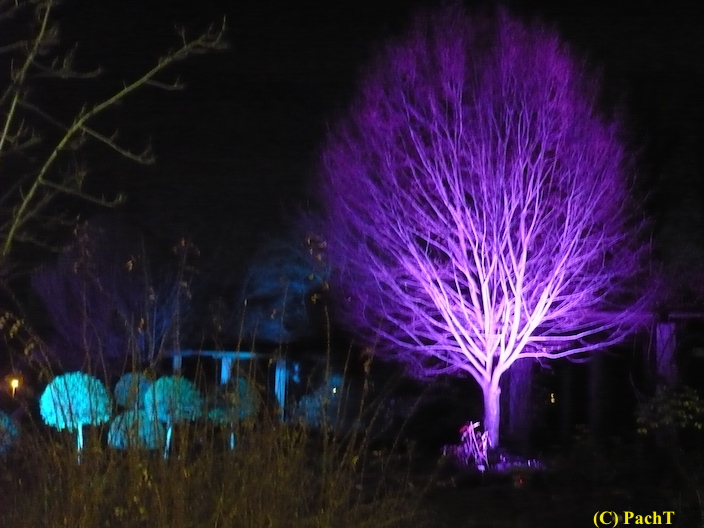 2017.12.25 ega WinterLeuchten 09