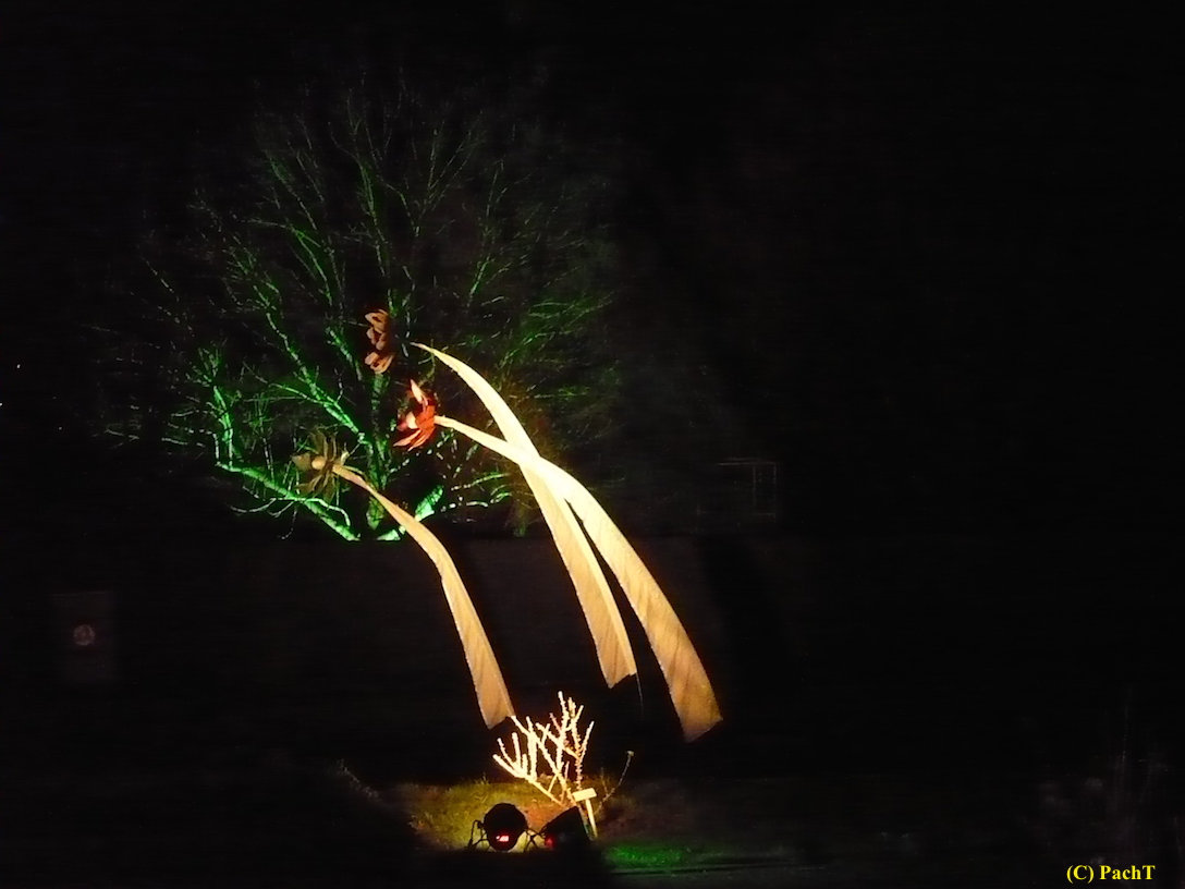 2017.12.25 ega WinterLeuchten 10