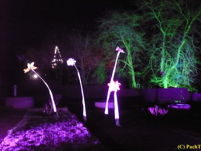 2017.12.25 ega WinterLeuchten 11