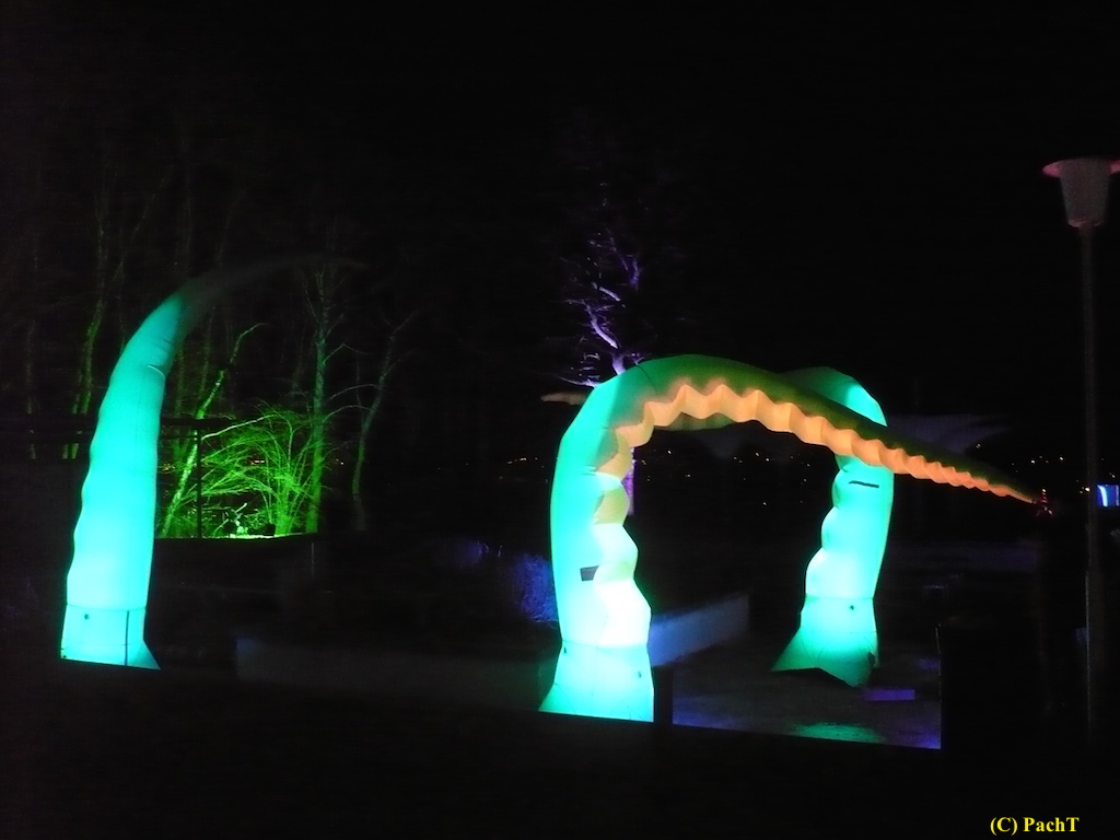 2017.12.25 ega WinterLeuchten 16