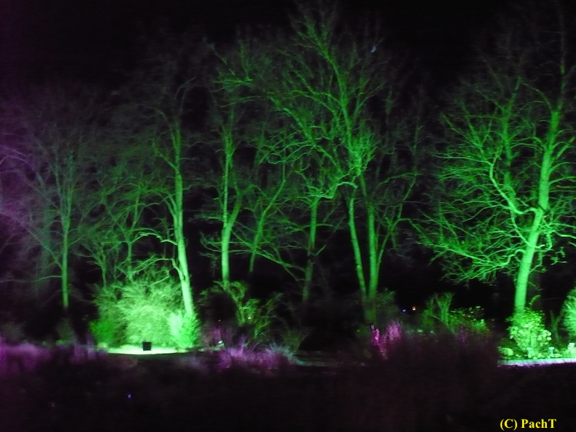 2017.12.25 ega WinterLeuchten 17