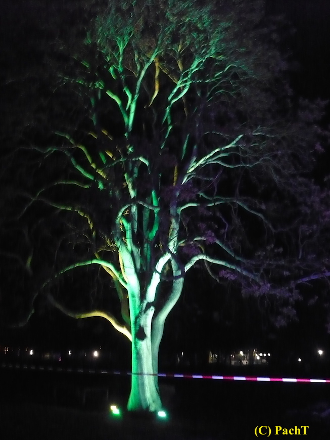 2017.12.25 ega WinterLeuchten 25