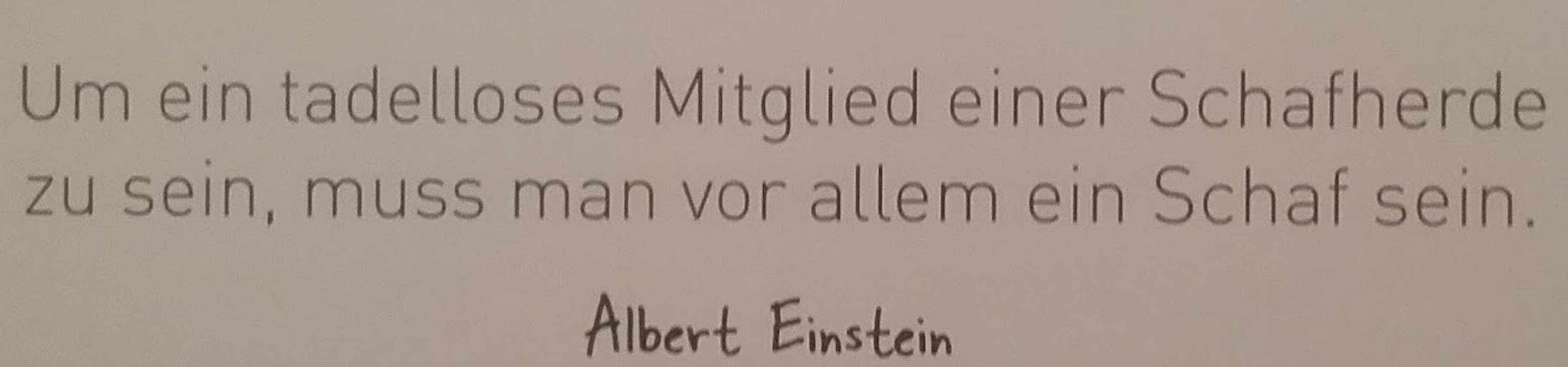 Zitat HerdenMensch 2