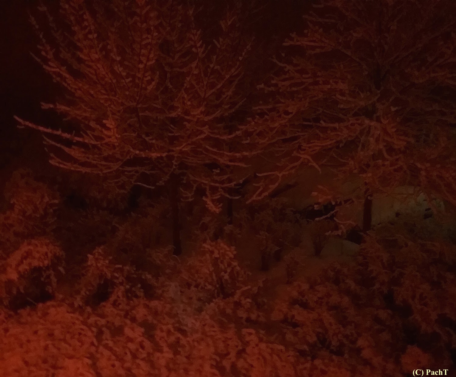 Schnee von heutel vorm Fenster 2018.01.21_06_36Uhr