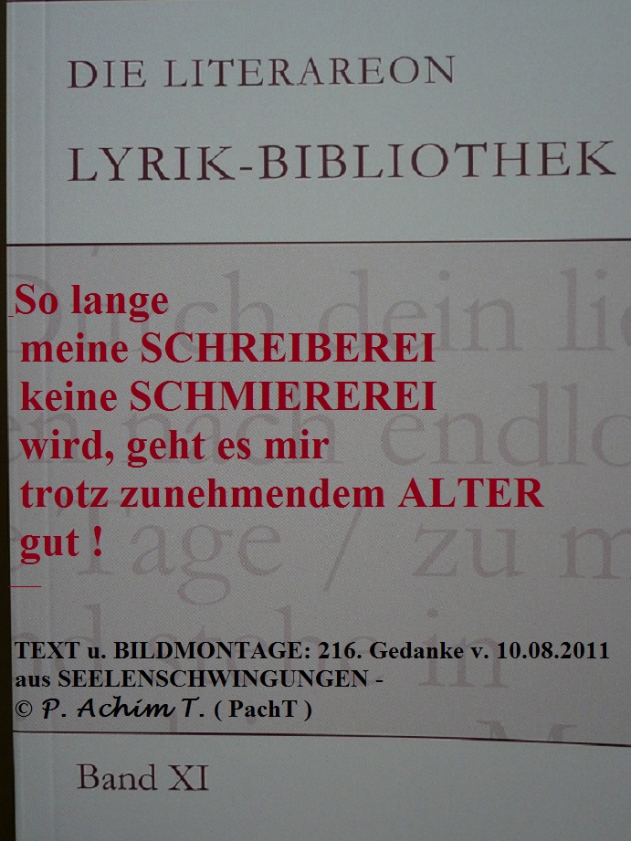 SSW216.Gedanke_Blogger