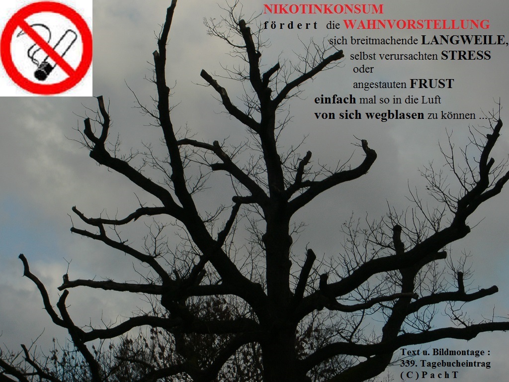 5MP-9G4 Digital Camera