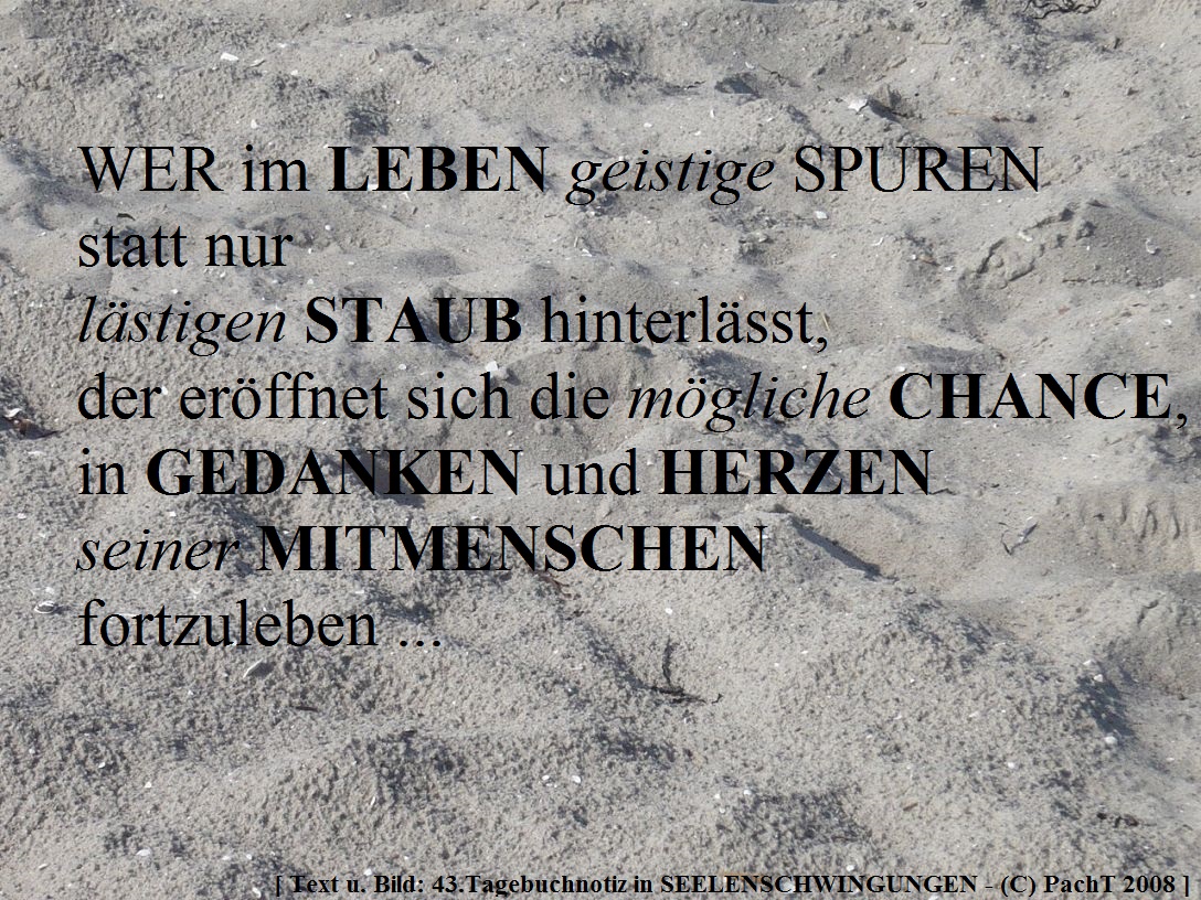 SSW43.Gedanke_SPURENstattSTAUB