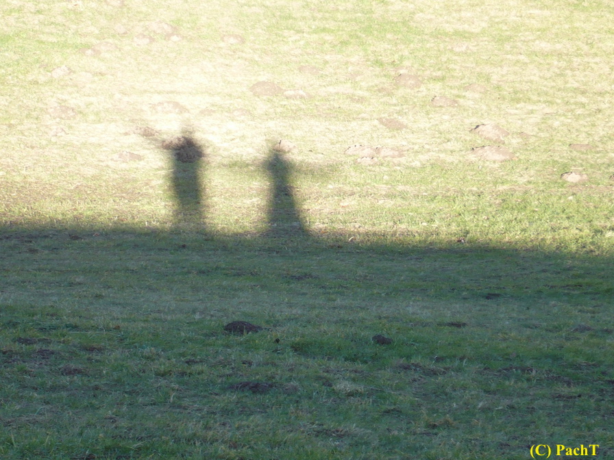 2018.01.30. Talsperre Heyda 10