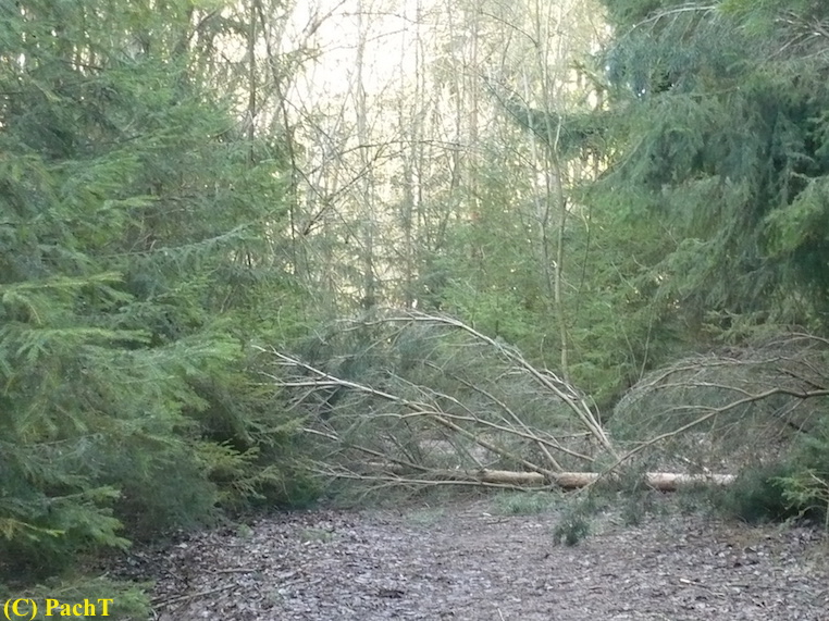 2018.01.30. Talsperre Heyda 12