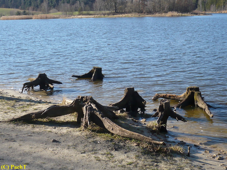 2018.01.30. Talsperre Heyda 16