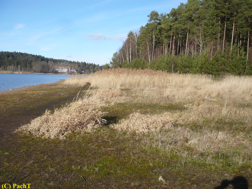 2018.01.30. Talsperre Heyda 17