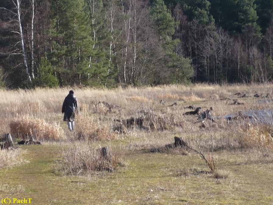 2018.01.30. Talsperre Heyda 18