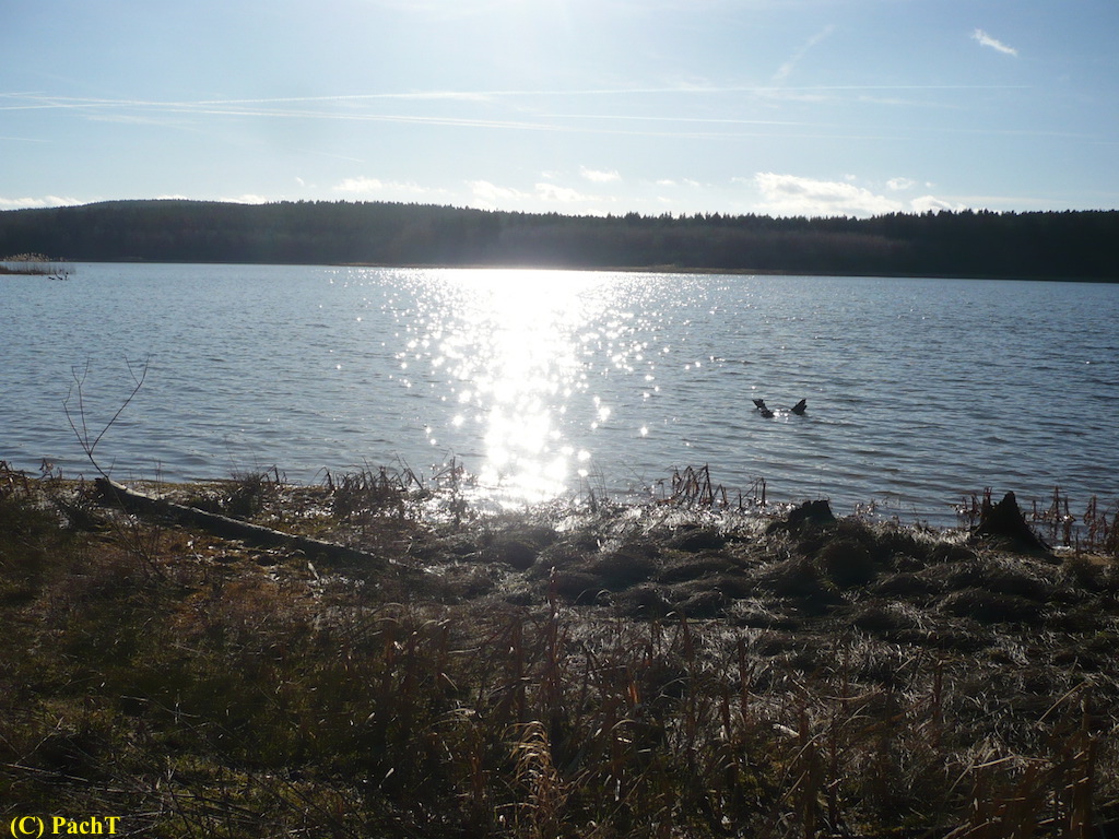 2018.01.30. Talsperre Heyda 19