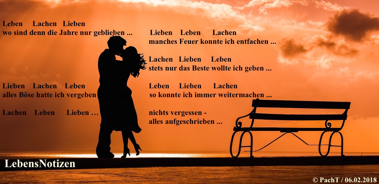Gedicht LebensNotizen