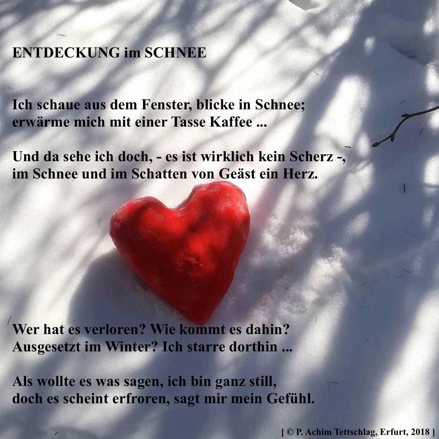 Gedicht Entdeckung im Schnee 2018