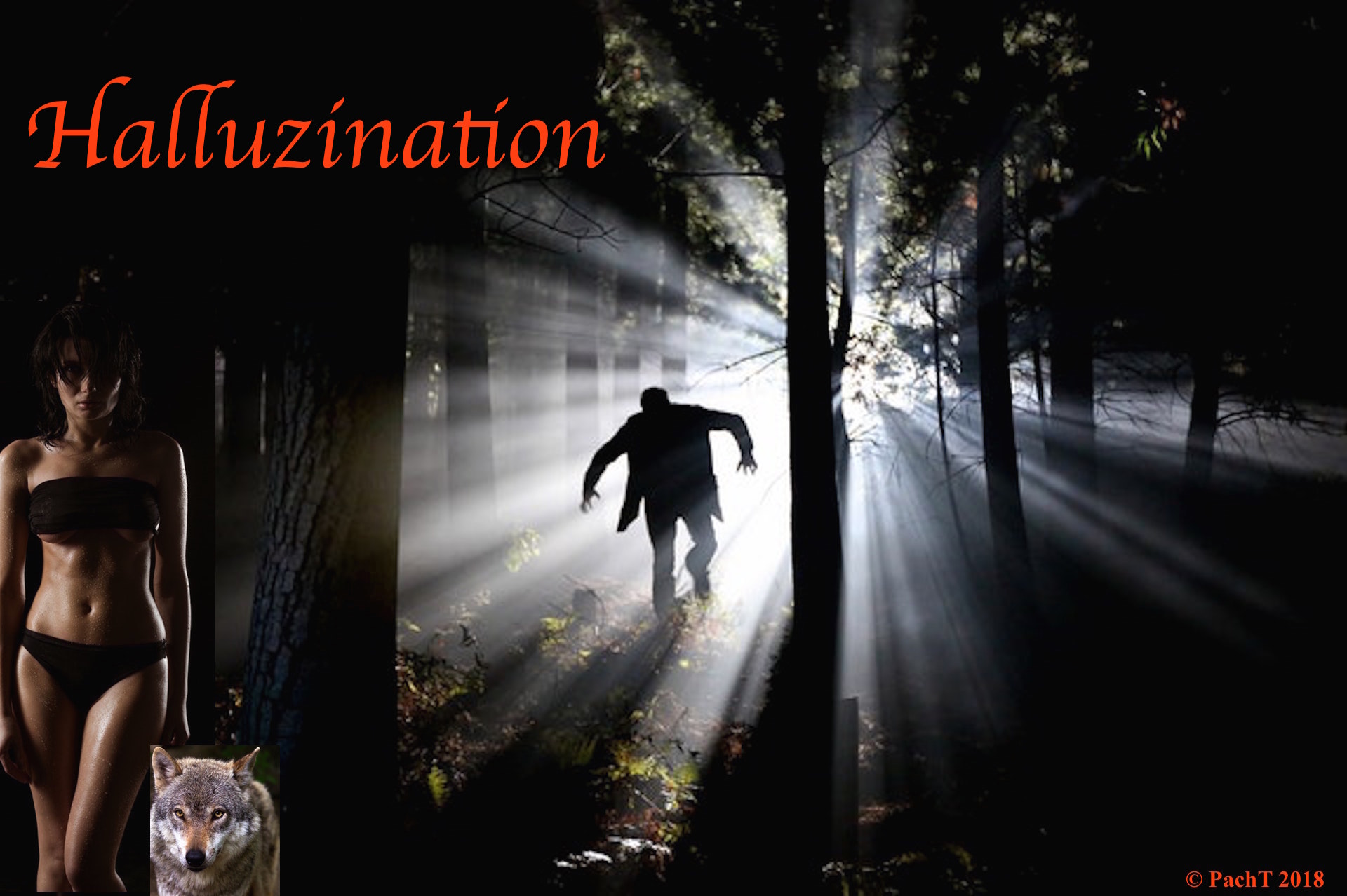 Halluzination Original
