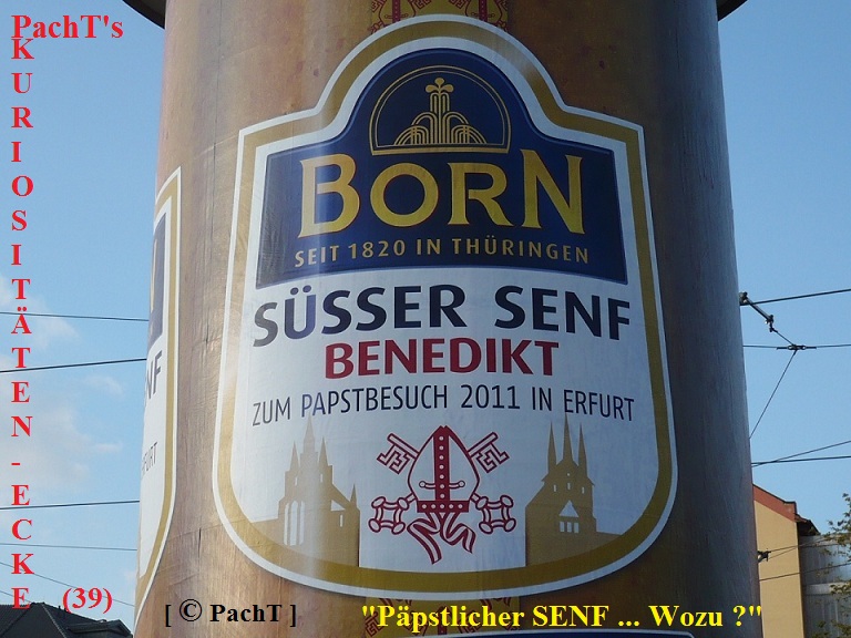 KURIOS 39 Papst_SENF