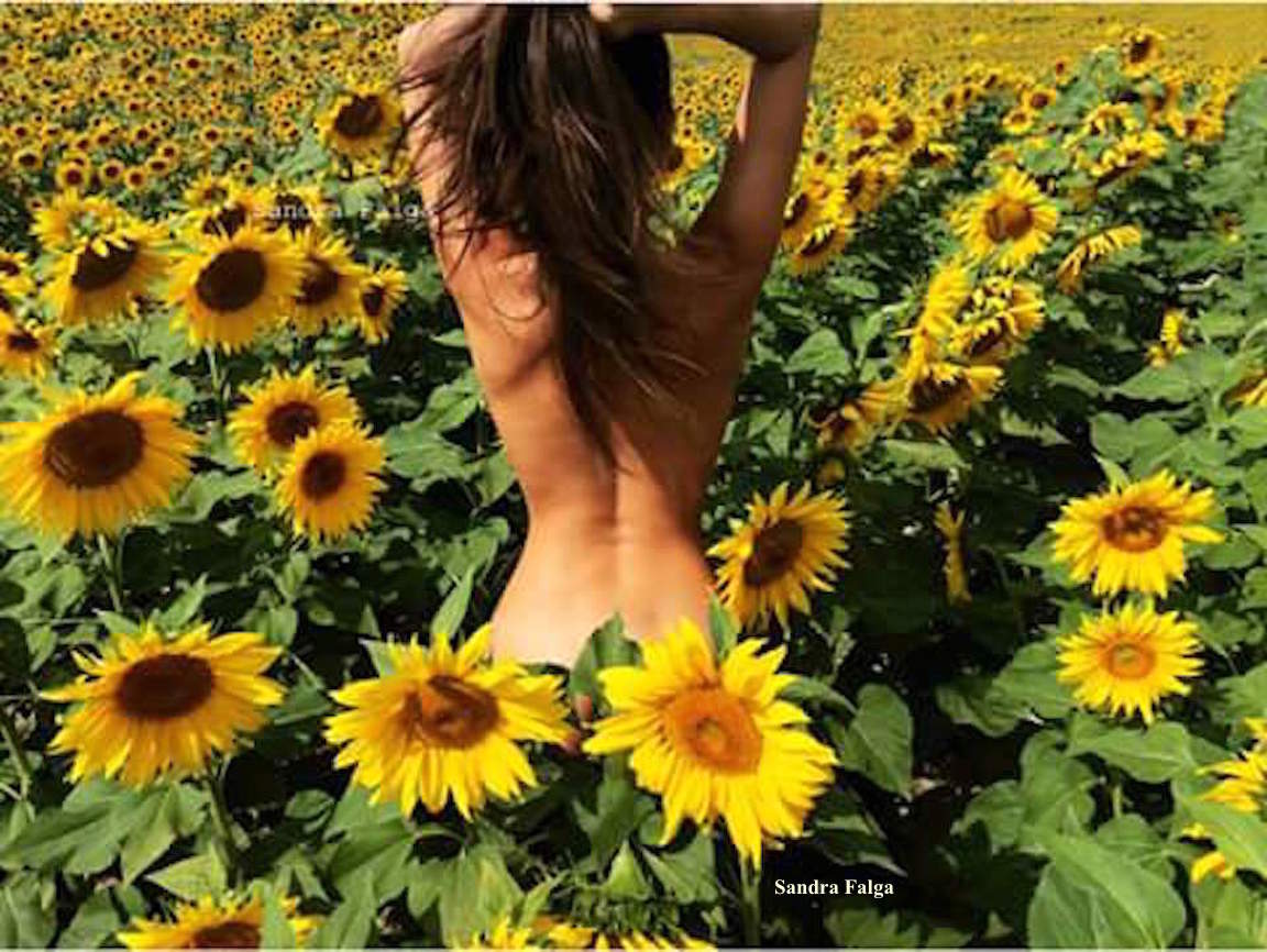 Sandra Falga _ Sonnebad in Sonnenblumen