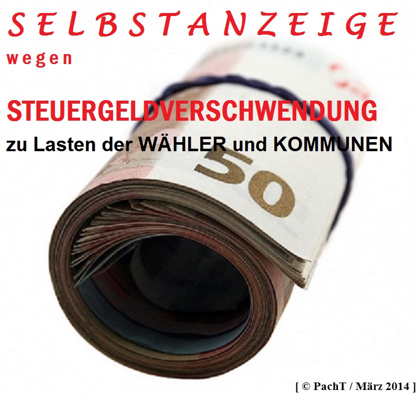 SELBSTANZEIGE eines POLITIKERS 2014