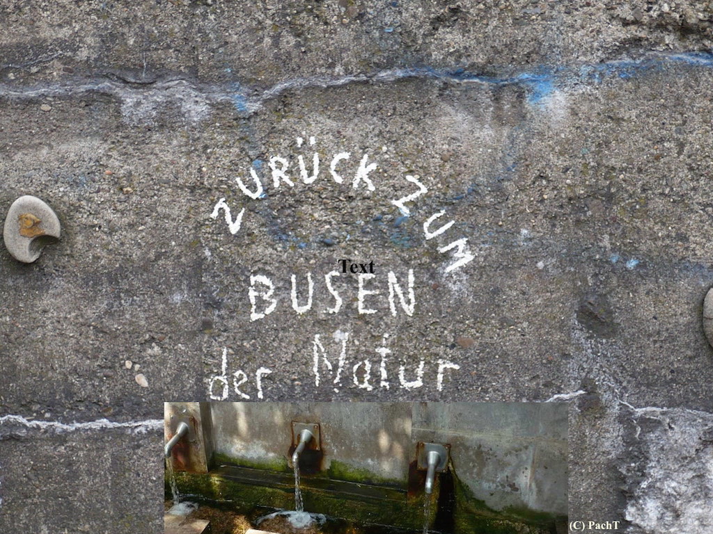 BUSEN der NATUR