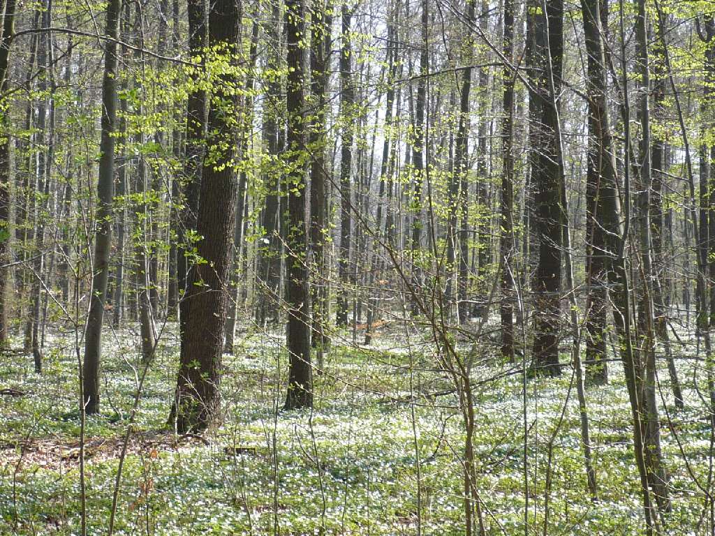 Ostern Lenz i.Wald 09
